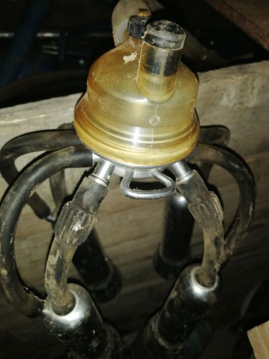 Instalație de muls ALFA LAVAL