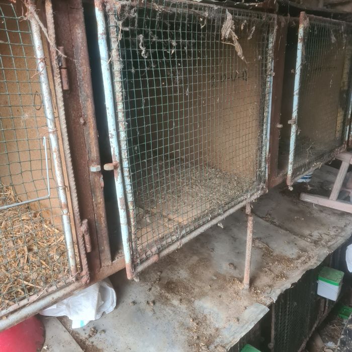 Cușcă iepuri 2 module