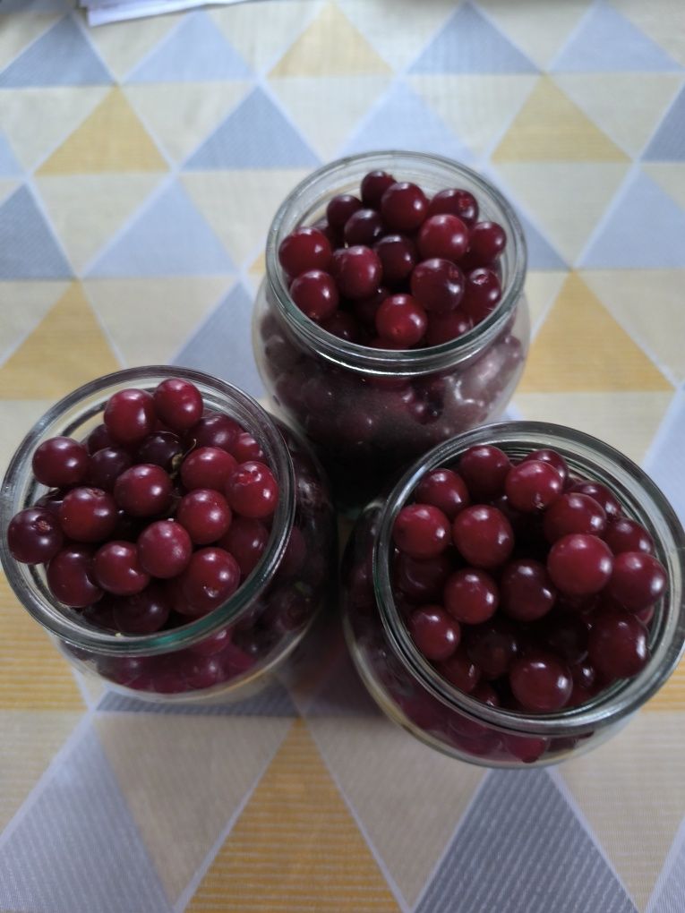 Продам тую, вишню домашнюю,резанные яблочки, сладкие, вкусные,.