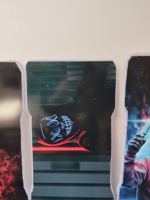 Placi Trotineta Electrica