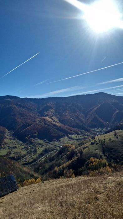 Vând hârtie colorata