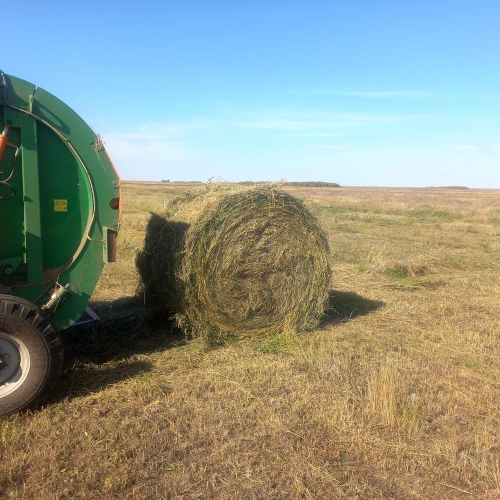 Продам сено с поля