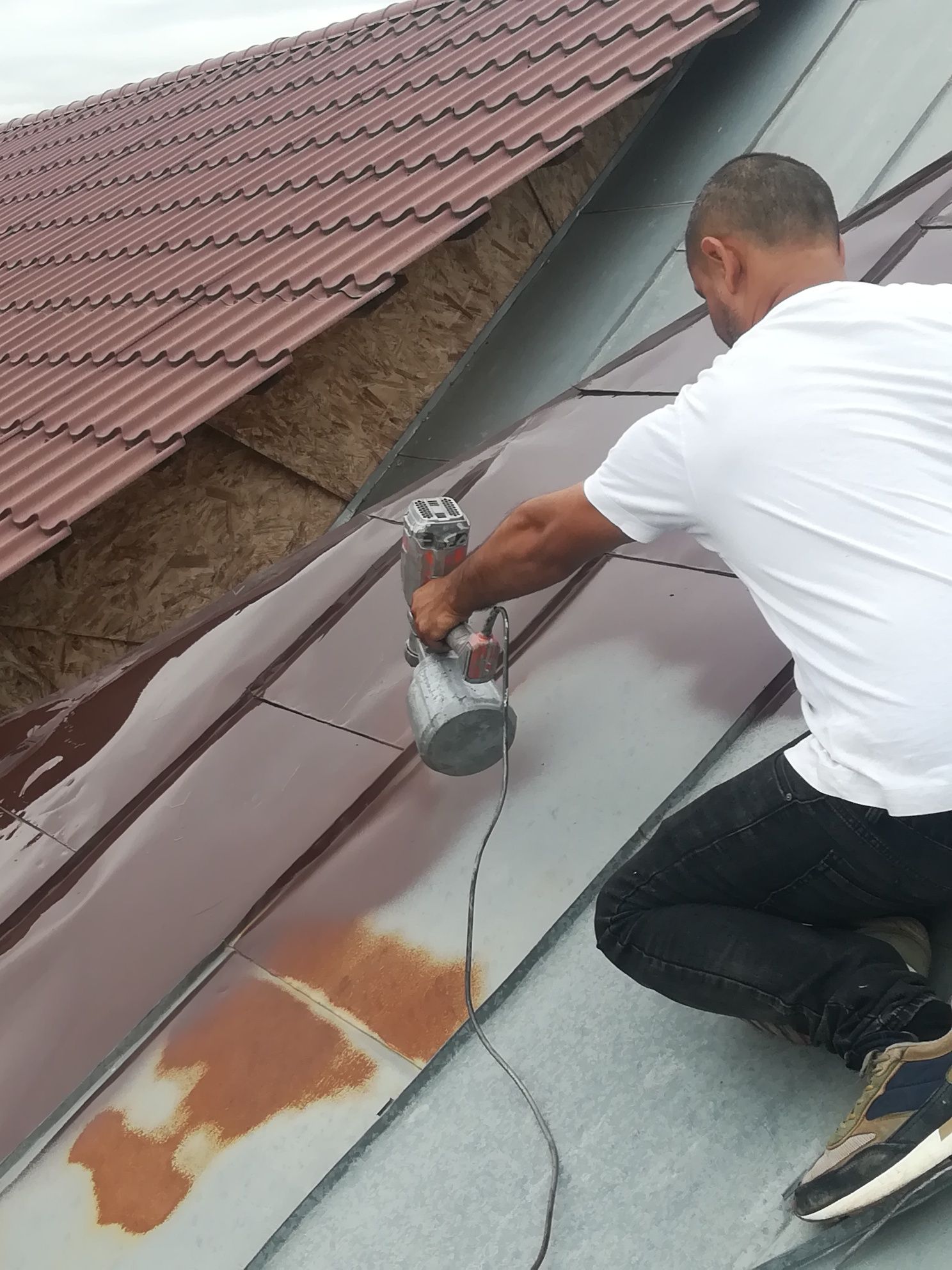 Vopsea 3in1 cruce culoare