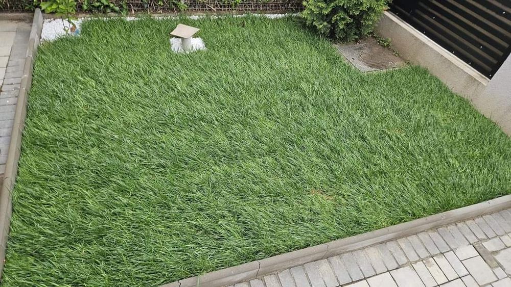 Gazon rulouri OFERIM MONTAJ