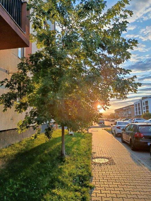 Apartament de vanzare