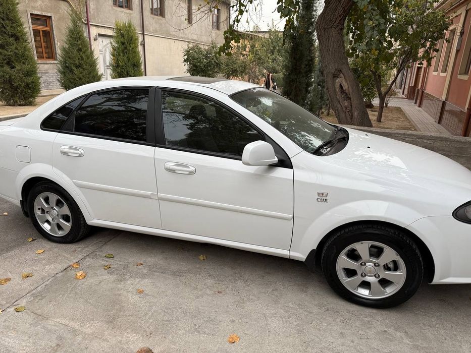 Jetra 2023 yil kraskasi tozza