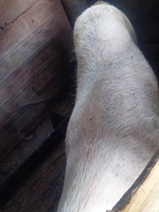 Возможен обмен все вопросы по телефону