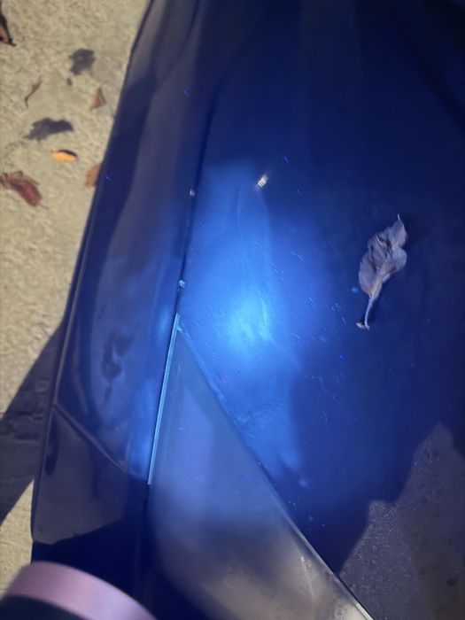 Официальный BYD Seagull  16200$