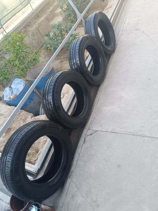 Cantinental 34-hafta 2024-yil