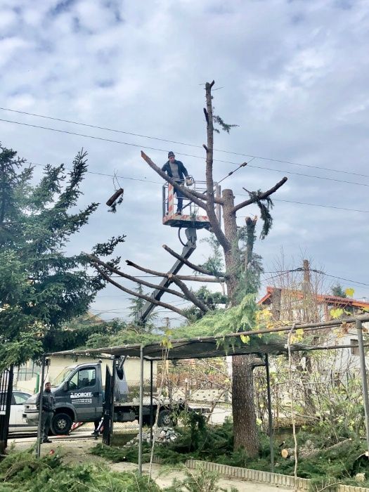 Рязане на дървета , Косене на трева, почистване на терени Варна