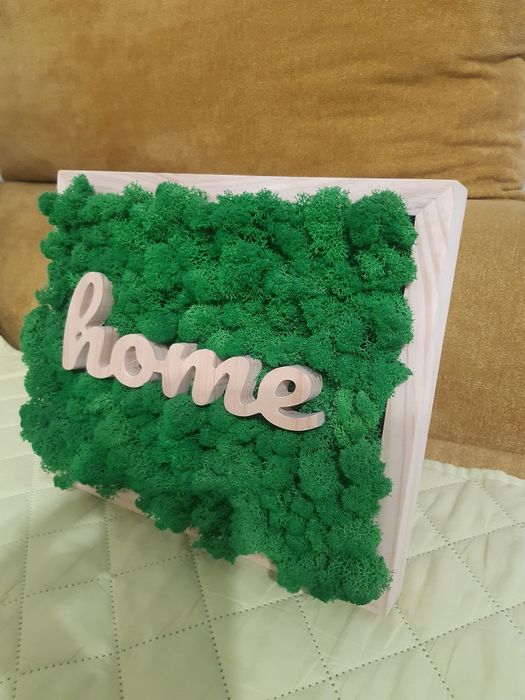 Tablou cu licheni home lemn natur