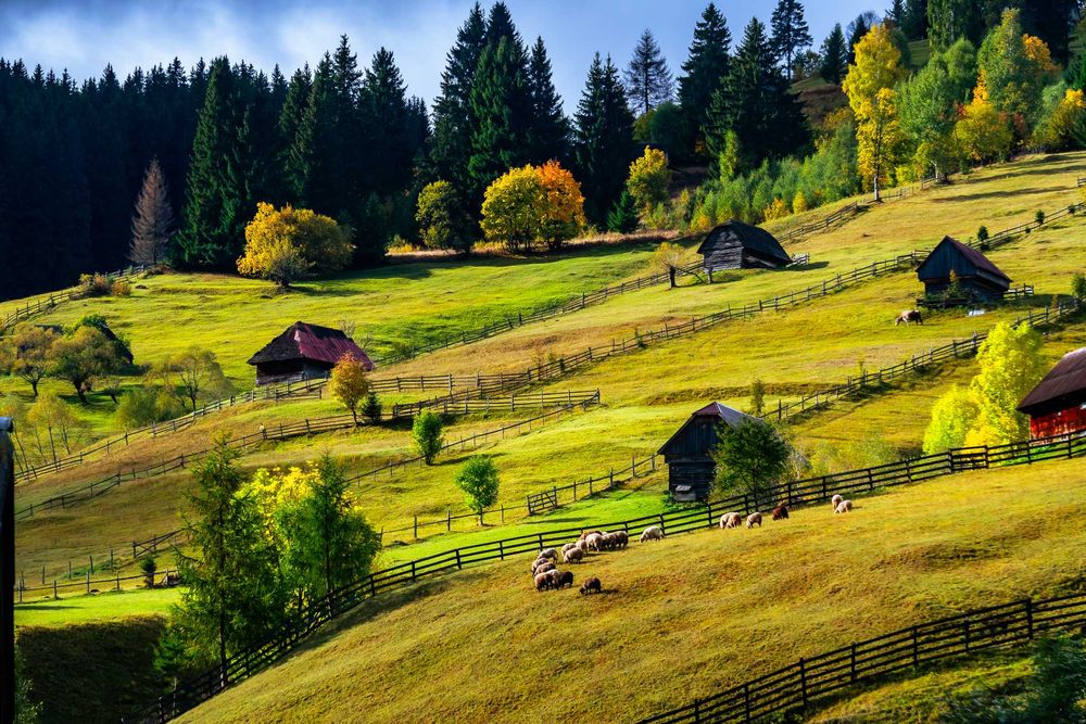 Liber 28 noiembrie - 1 decembrie !Cazare   Moieciu de Sus - Casa Enaru