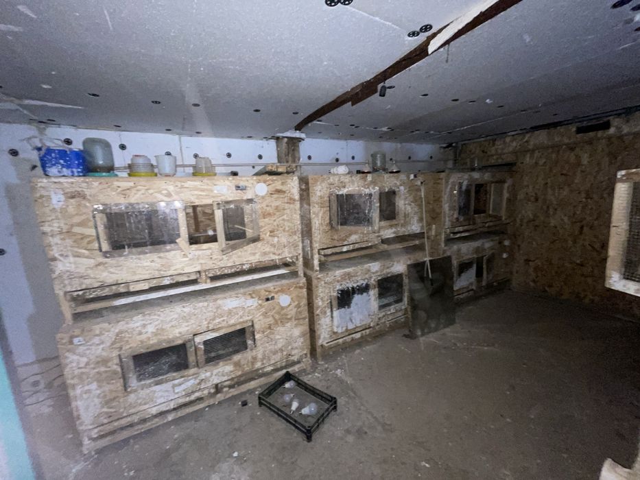 Продам брудера для цеплят