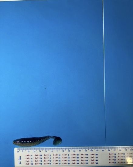 Силиконови примаки-Deep Fiish