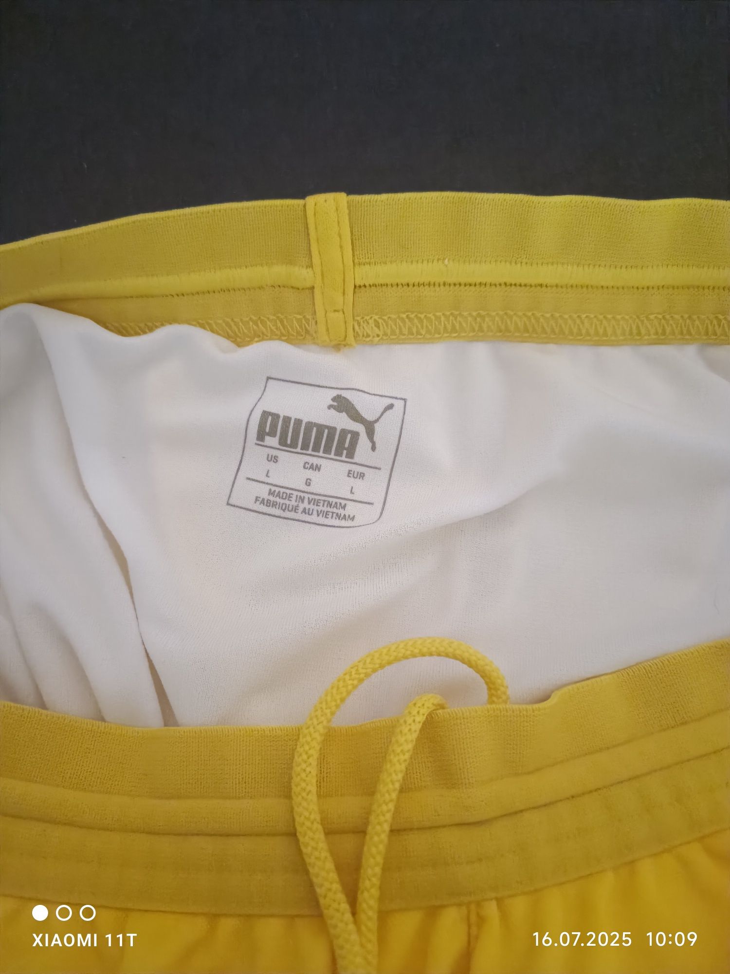 Puma  BVB original