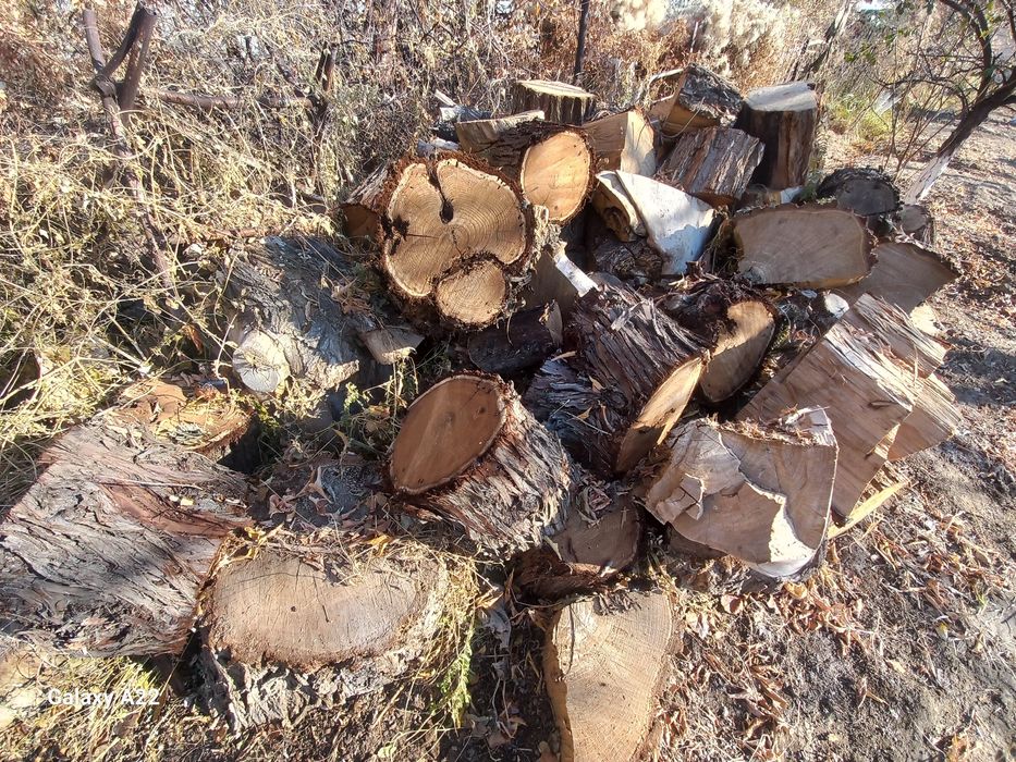 Дрова нарезанные