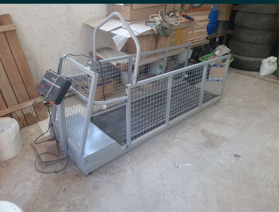 Беговая дорожка для собак