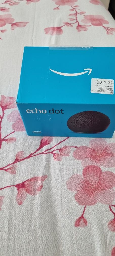 Boxa alexa -echipa dot