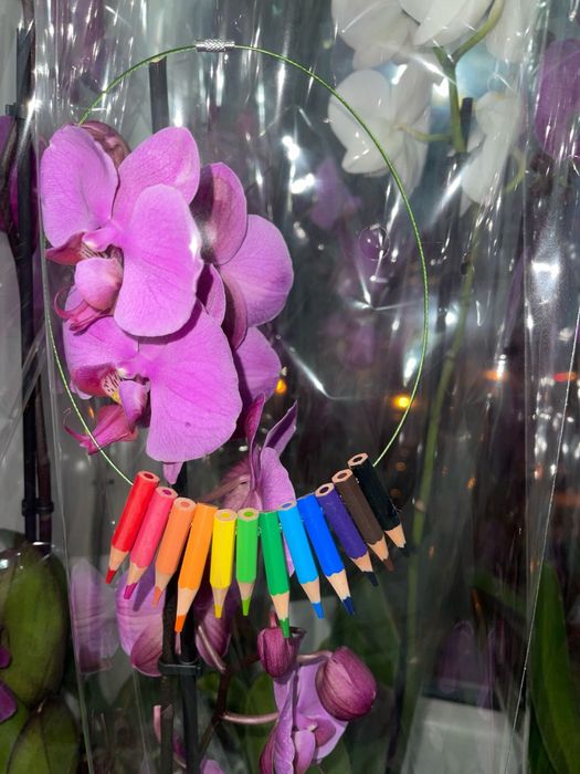 Set colier + bratara Creioane