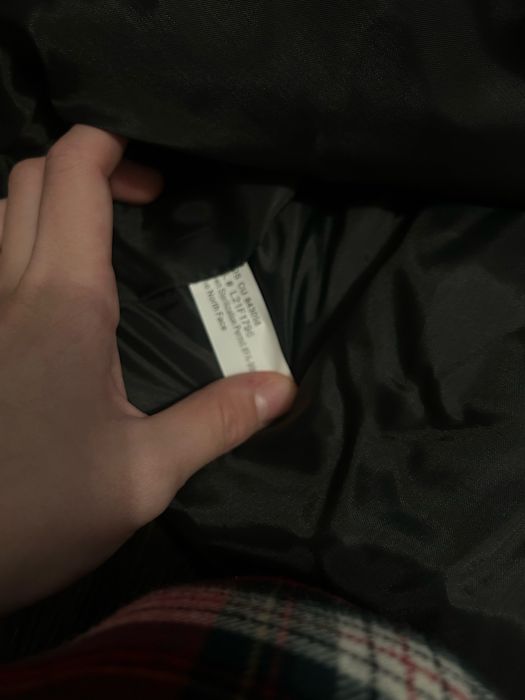 The north face puffer