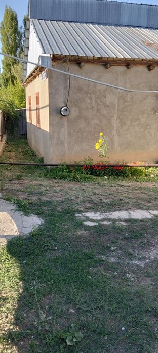 Срочно сатылады колбастауда евгенивка