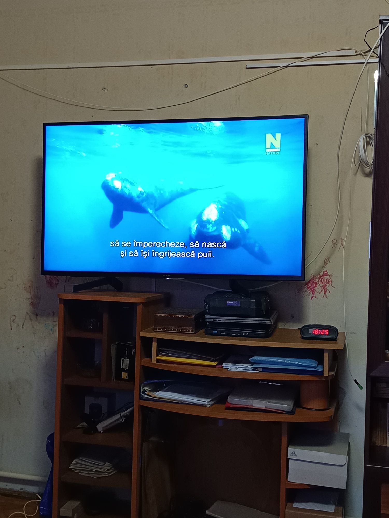 Smart led sony bravia 124cm