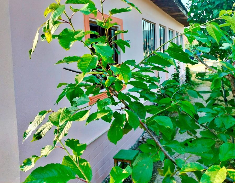 Vând casă  cu teren!