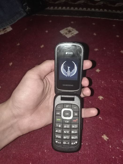Samsung Gusto 3 ideal