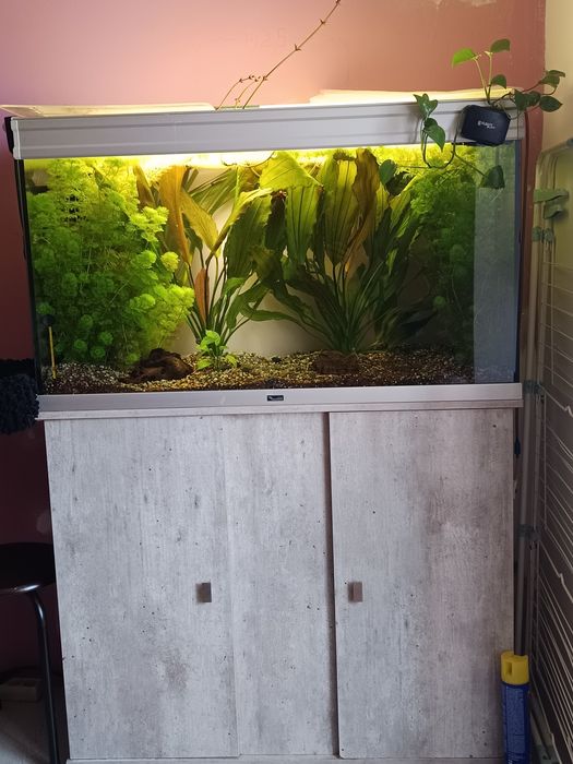 Acvariu cu suport și accesorii