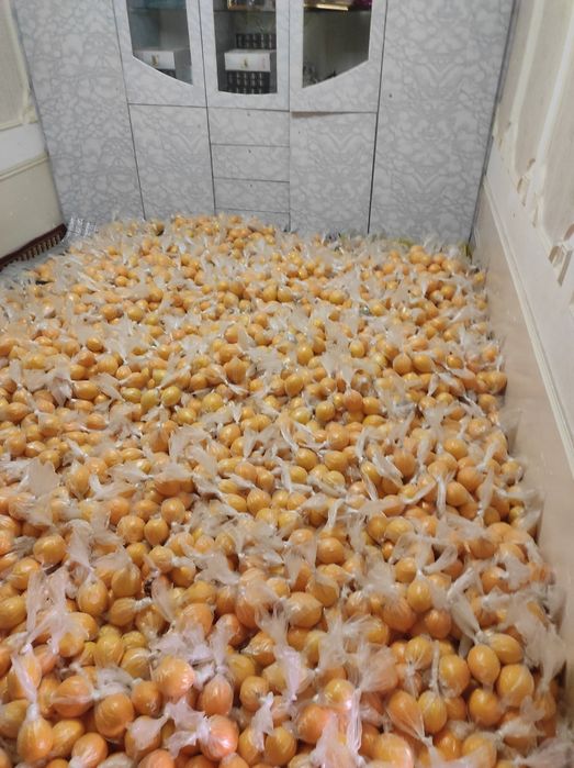 Mir navgli limon Hosili. 50.000 SUM