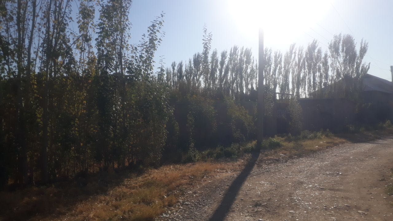 Yer uchastka 4ta yer uchastkasi 6sotixdan 24 sotix sotiladi