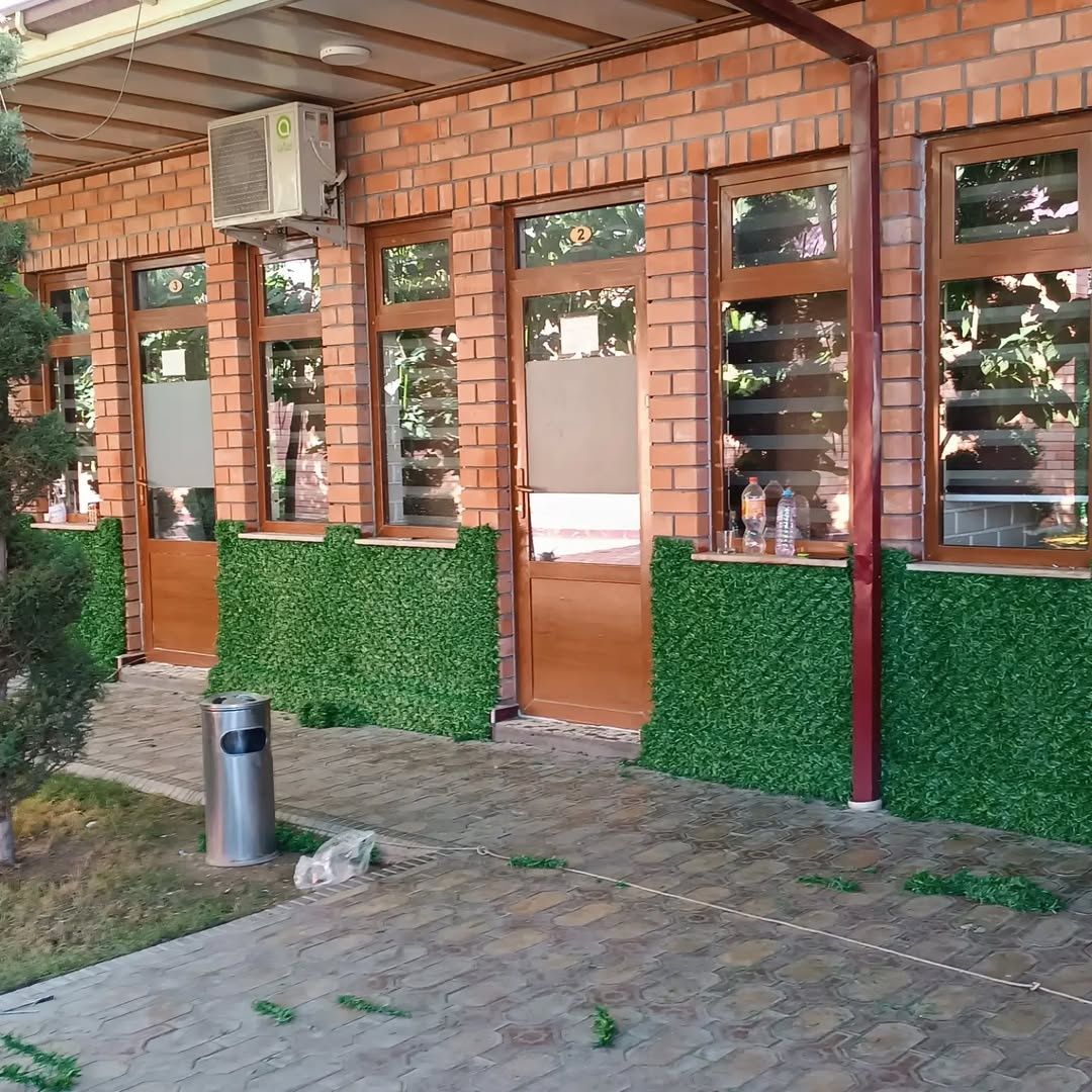 Suniyzabor #green