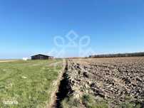 Teren de vanzare 93.020 mp, sat Pausa, Bihor