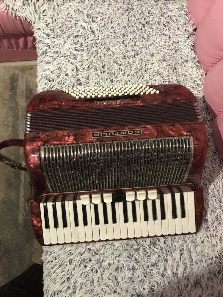 Acordeon Cantulia sonattina~4 in stare buna