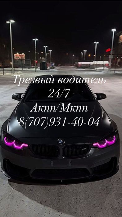 Трезвый водитель