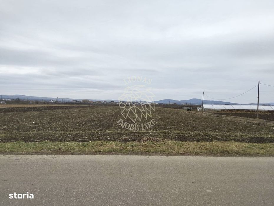 Teren intravilan 2500 mp-pretabil case, pensiune-Zona Crama Jelna