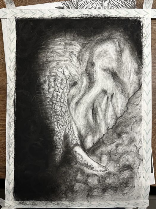 Desene alb negru animale-portret la comanda