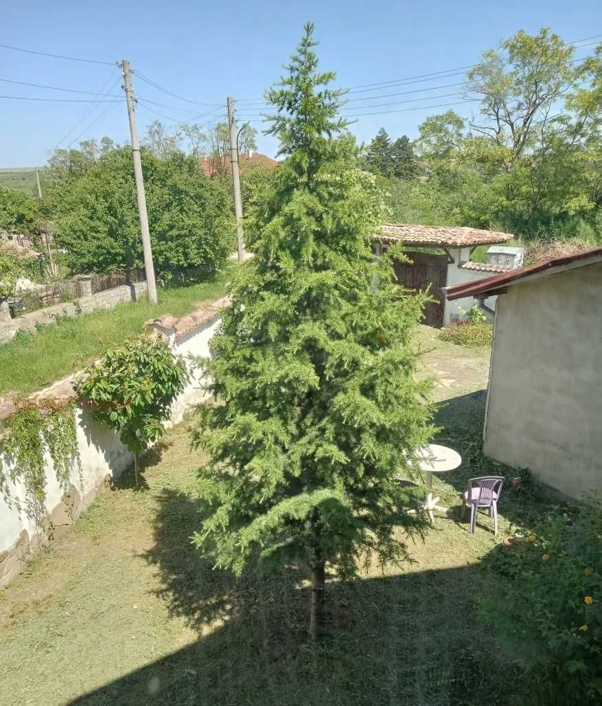 Продавам къща с.Николаевка Варна