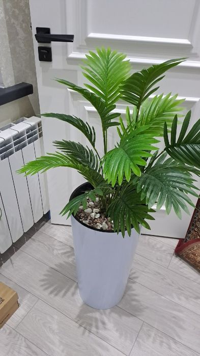 Цветы декоративные Суний Гул Тувак Арт Архидея Пальма