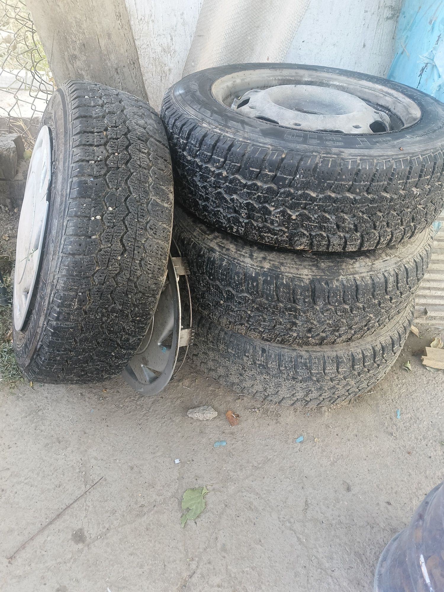 зимный балон Р14 с дисками