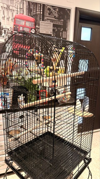 PawHut Colivie pentru pasari si canari, voliera pentru papagali