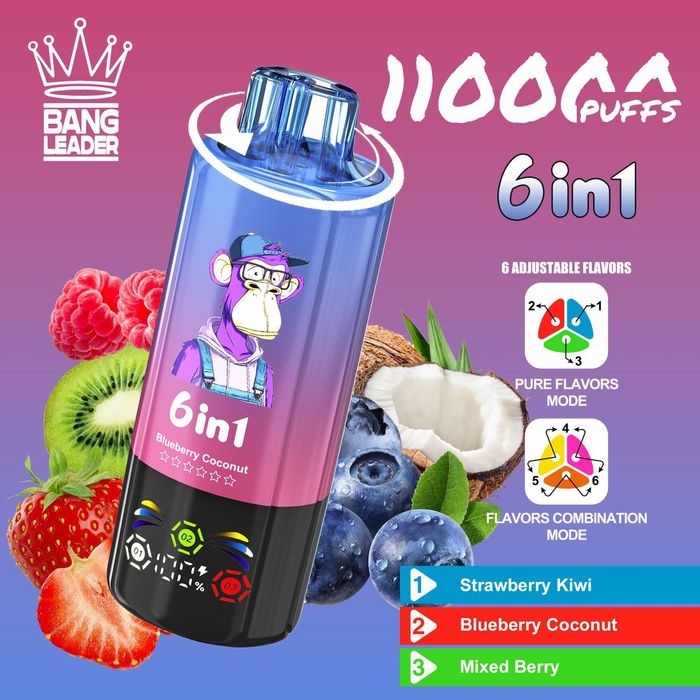 Bang Leader 110K Puffs 6 flavor modes smart disposable vape with led
