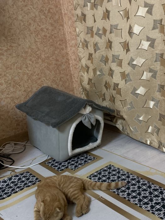 Продам домик для кошки