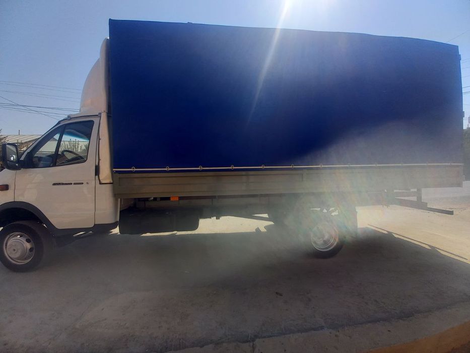 Gazel sotilad xolati zo'r