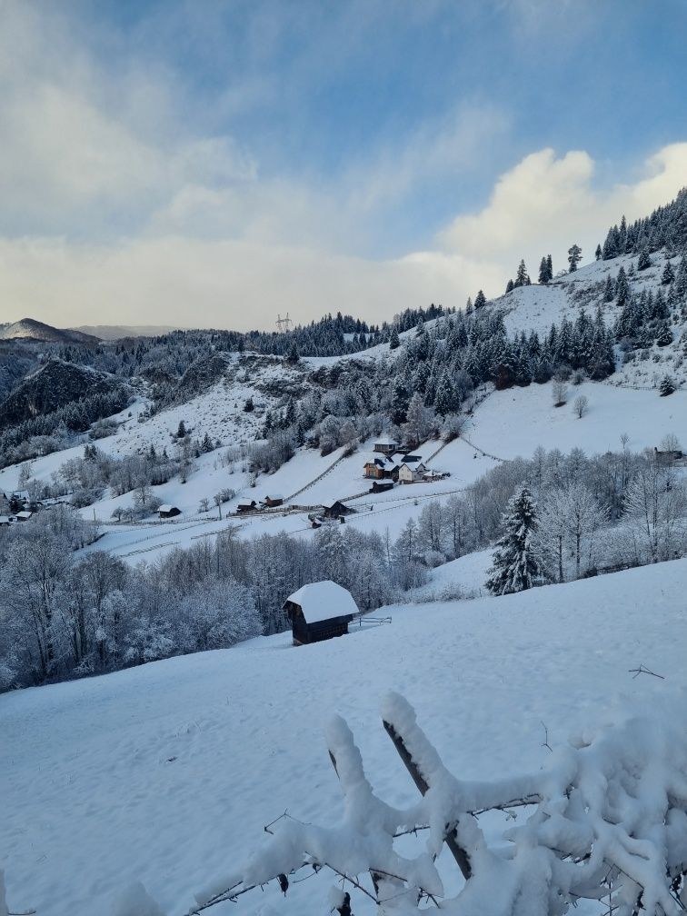 Vând teren intravilan in Com.Dambovicioara ,sat Podul Dâmboviței!