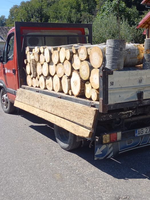 Vind  lemne esenta tare fag stejar salcim