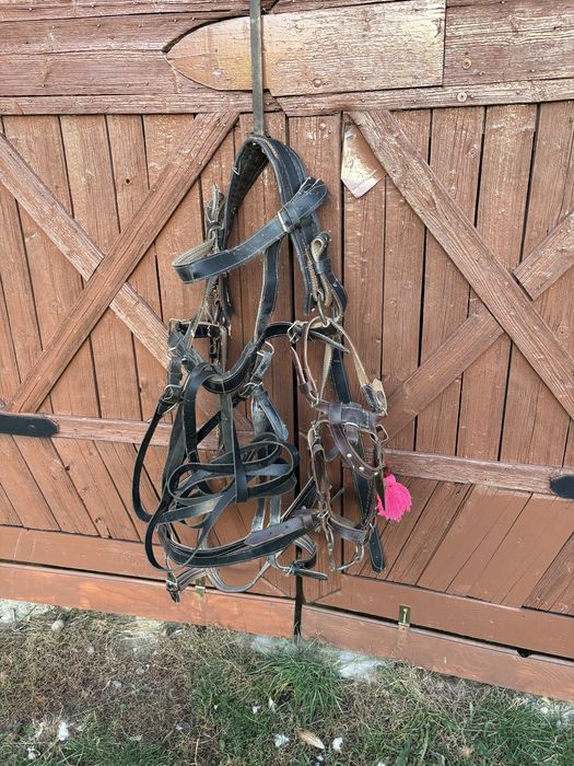 Se vând accesorii ponei/ măgar