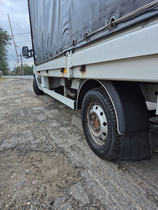 Renault master prelata