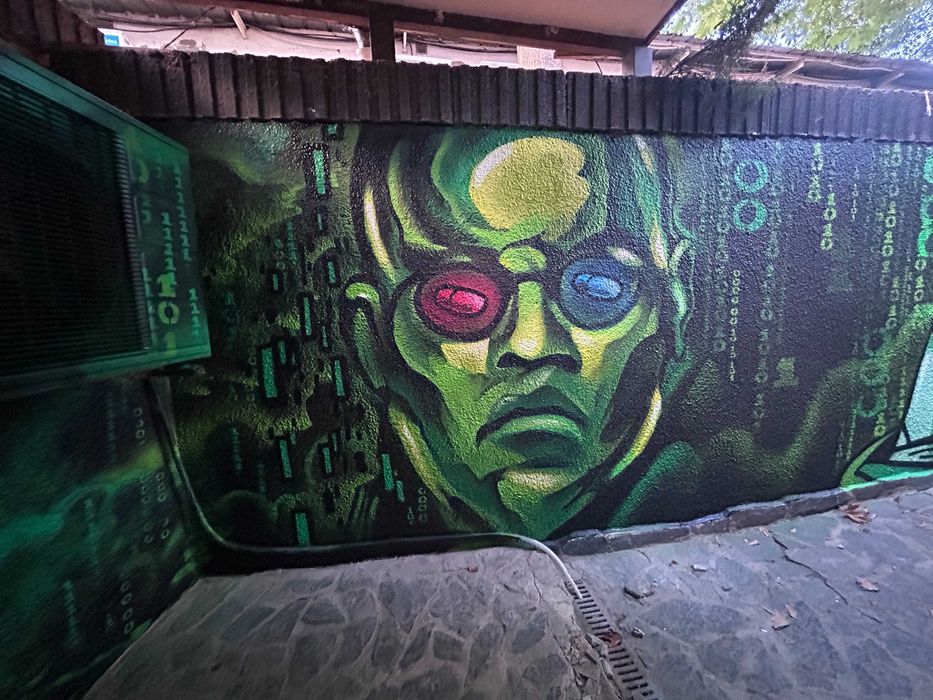 Професионални графити услуги - рисуване на стени, фасади,стаи