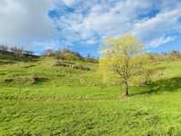 Donez haine baietel 90-110, jucarii